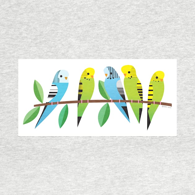 Budgies by Gareth Lucas